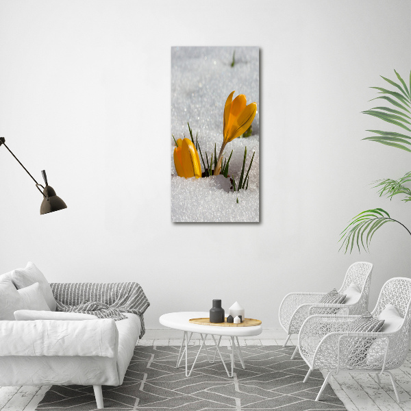 Canvas wall art Yellow crocuses