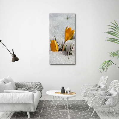 Canvas wall art Yellow crocuses