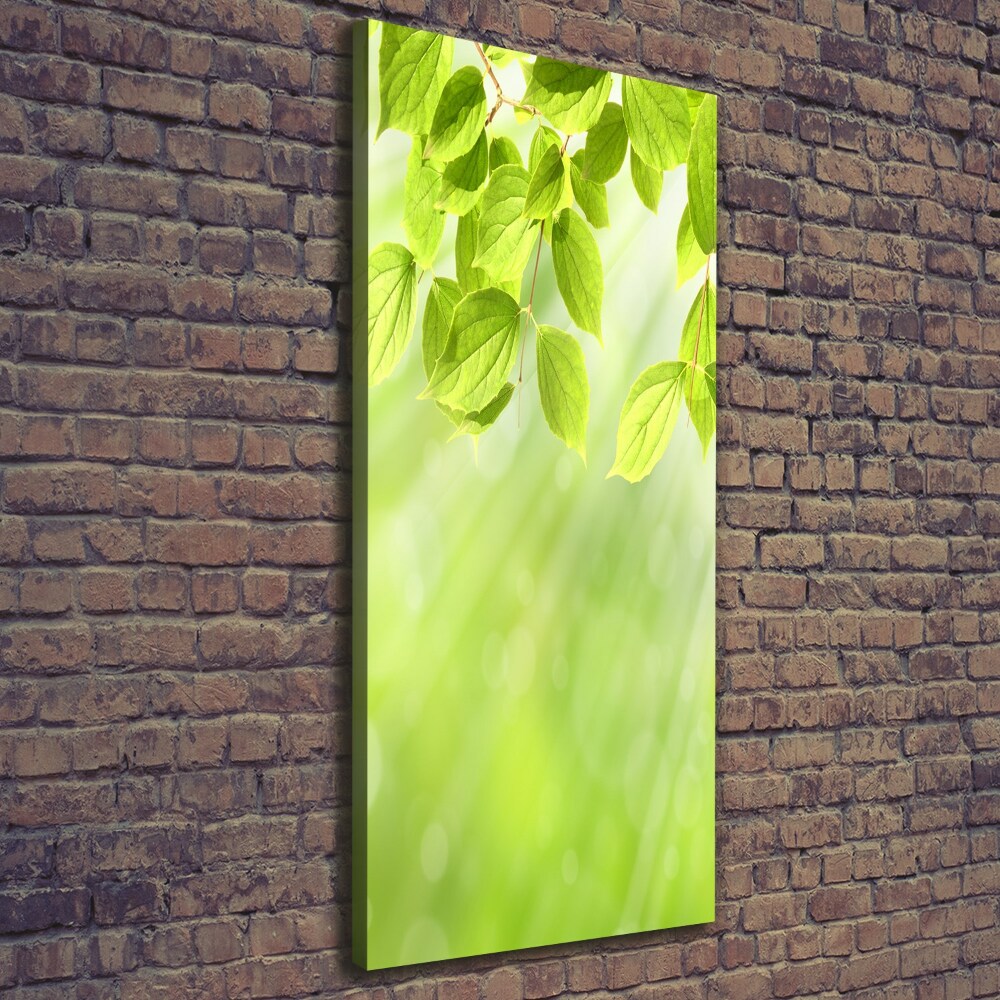 Canvas wall art Green leaves