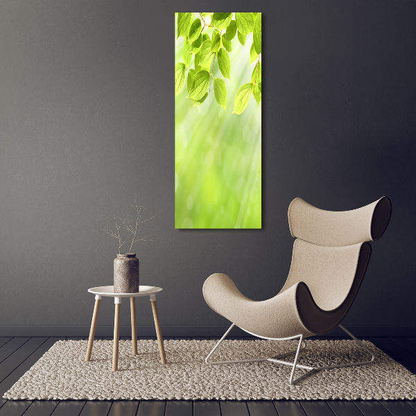 Canvas wall art Green leaves