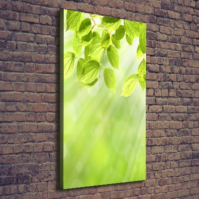 Canvas wall art Green leaves