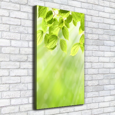 Canvas wall art Green leaves