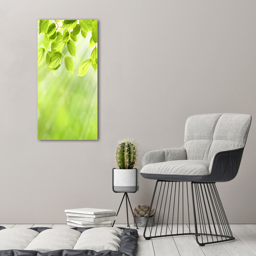 Canvas wall art Green leaves