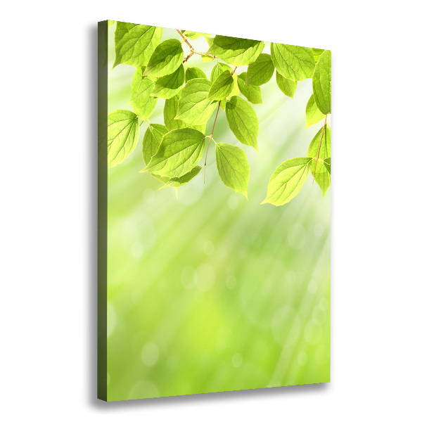 Canvas wall art Green leaves