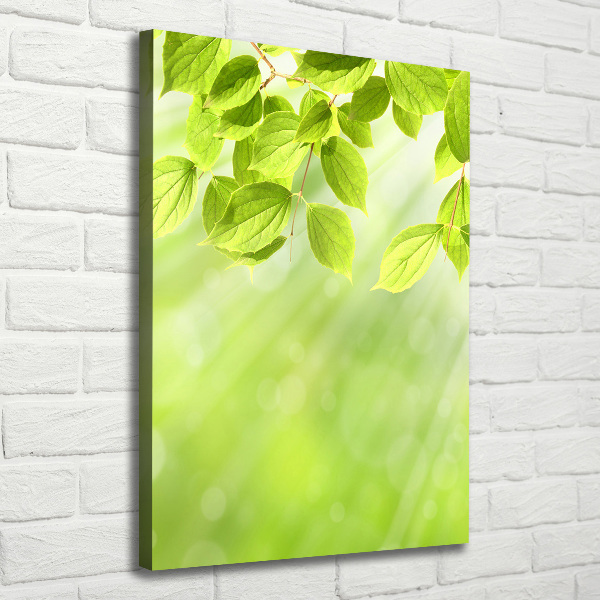 Canvas wall art Green leaves