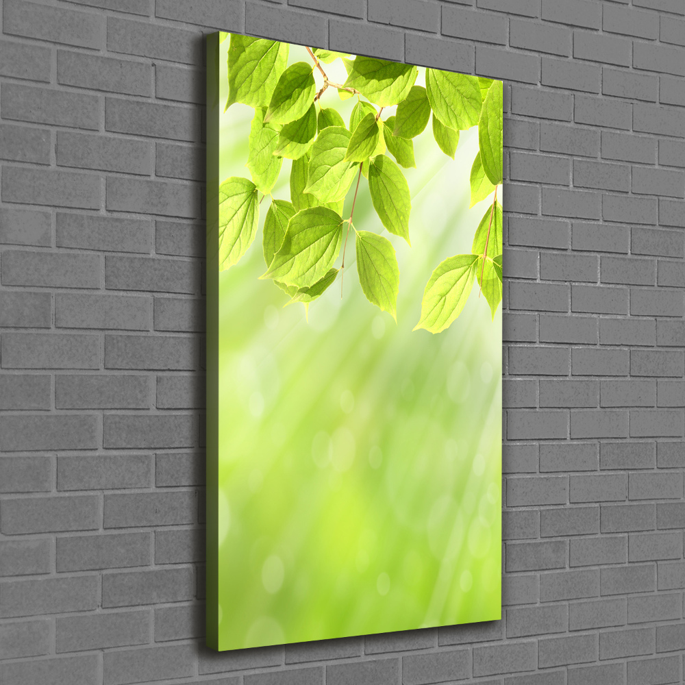 Canvas wall art Green leaves