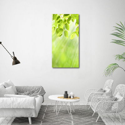 Canvas wall art Green leaves