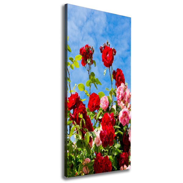 Canvas wall art Wild Rose