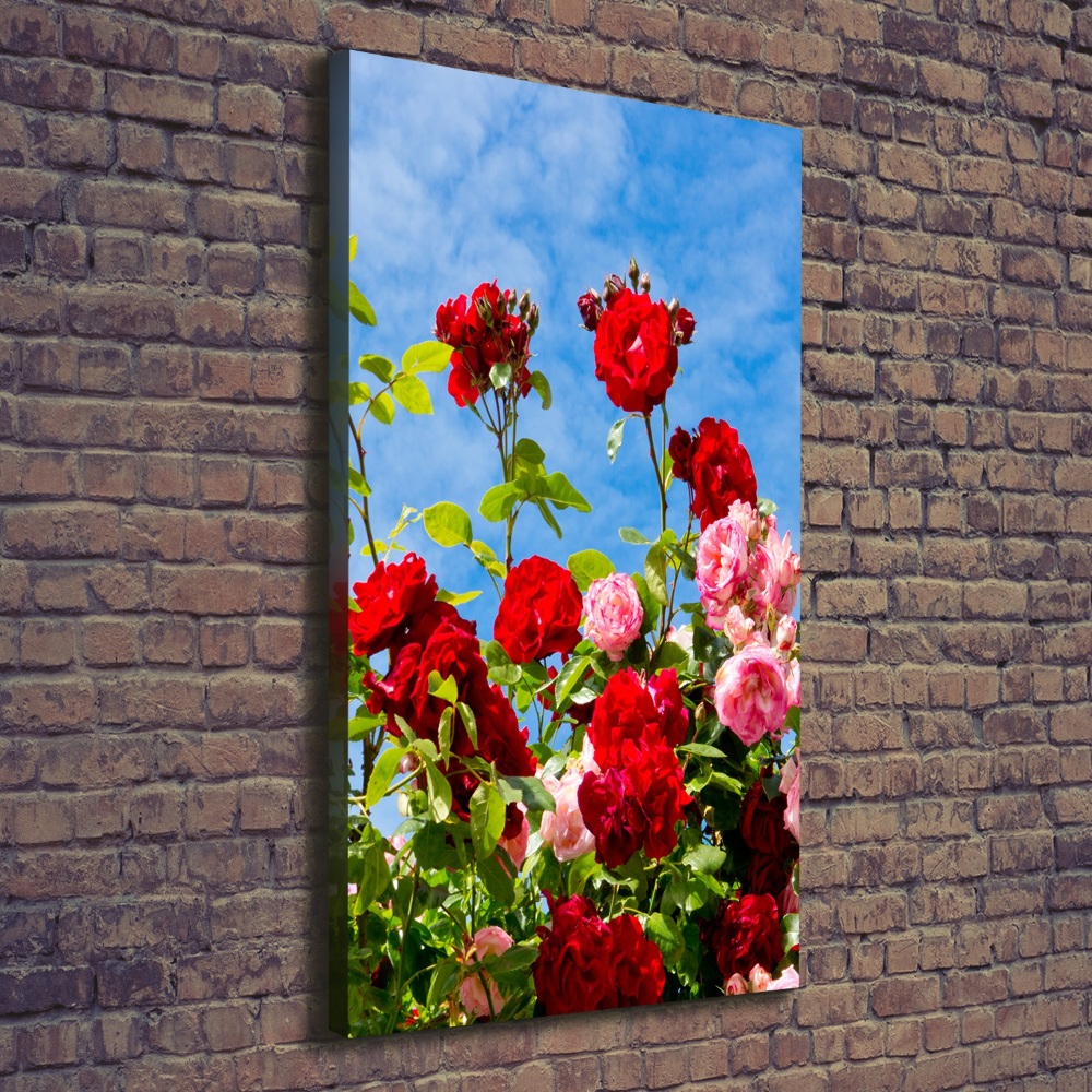 Canvas wall art Wild Rose