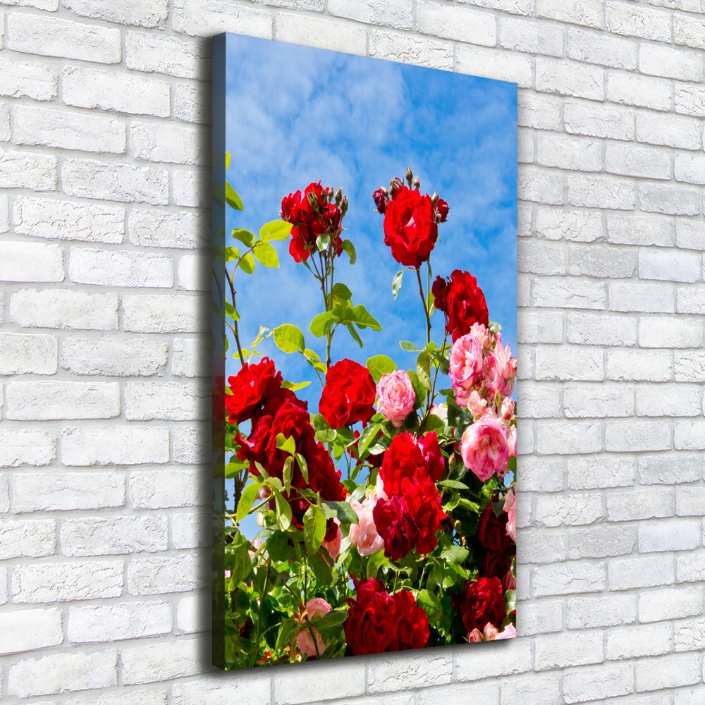 Canvas wall art Wild Rose