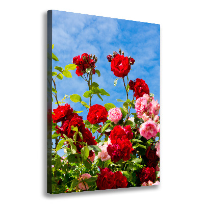 Canvas wall art Wild Rose