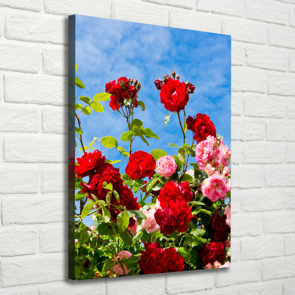 Canvas wall art Wild Rose