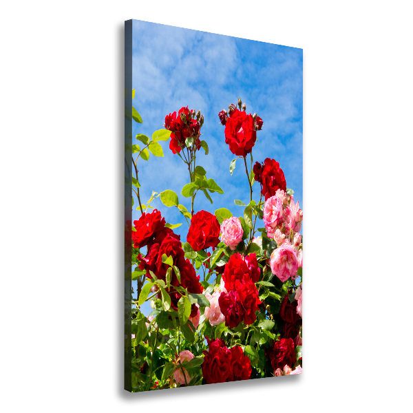 Canvas wall art Wild Rose