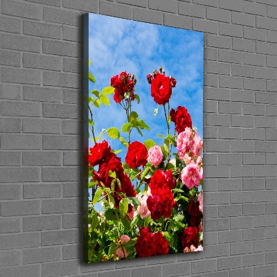 Canvas wall art Wild Rose