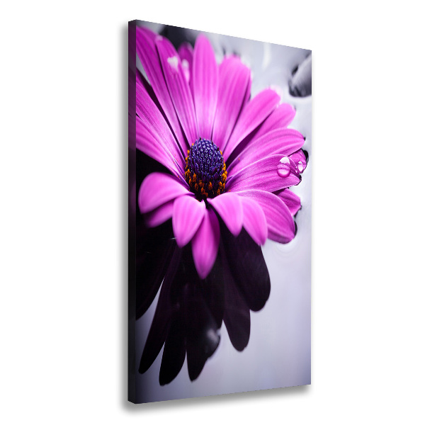 Canvas wall art Pink gerber