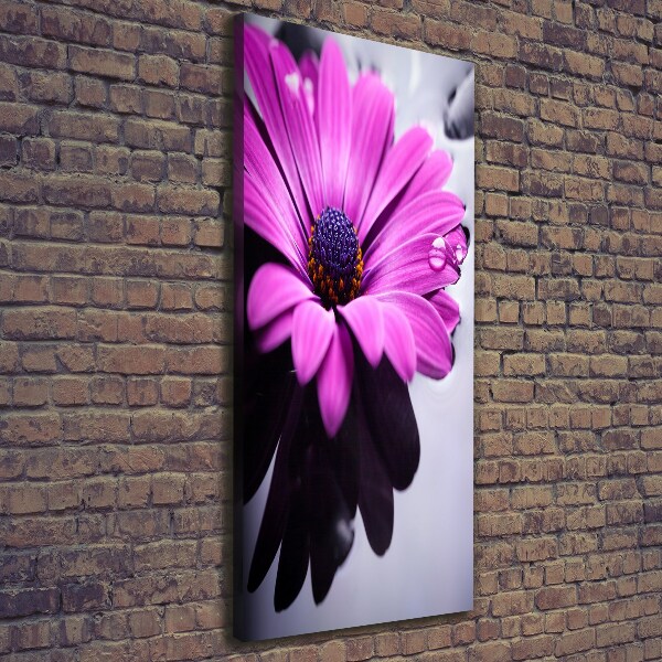 Canvas wall art Pink gerber