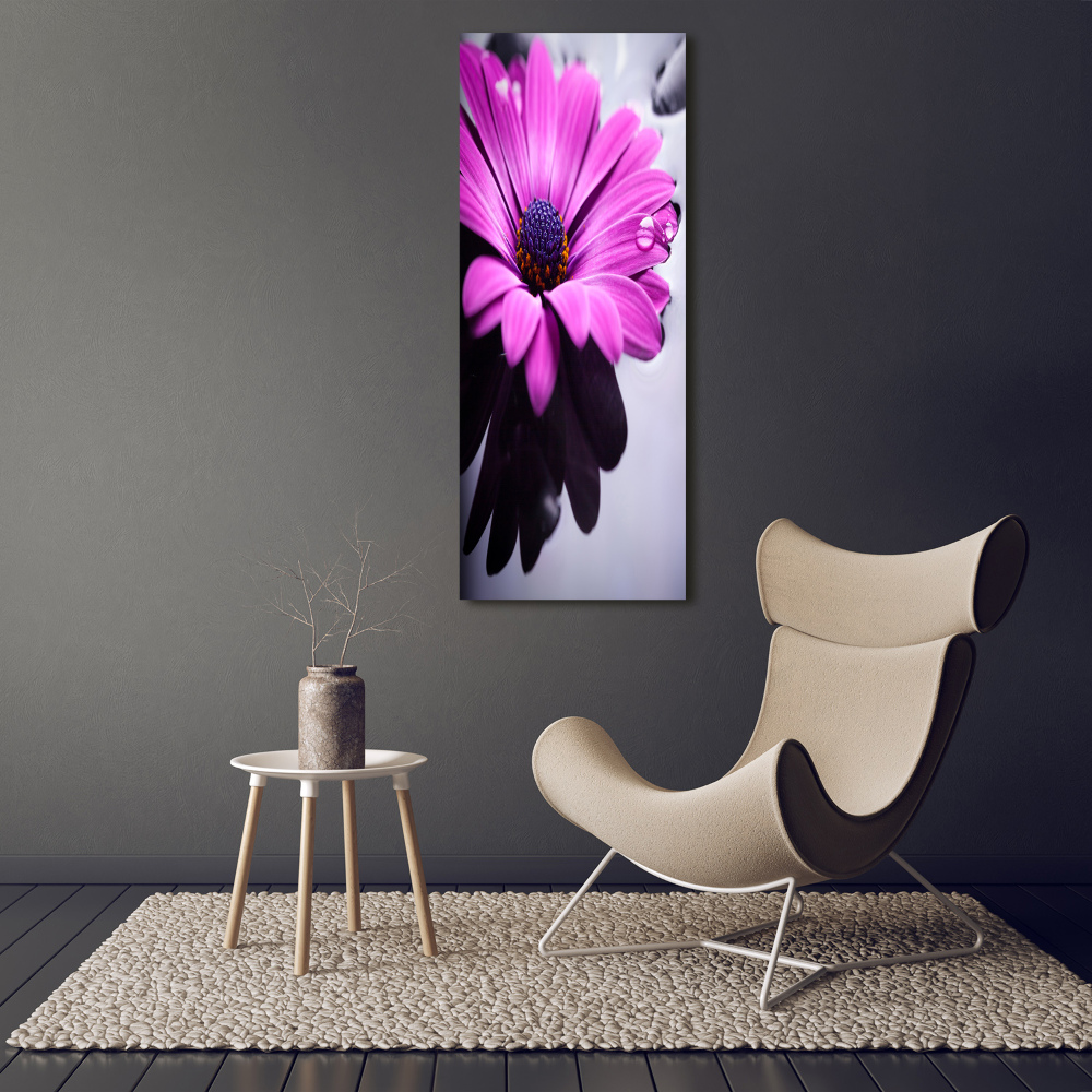 Canvas wall art Pink gerber