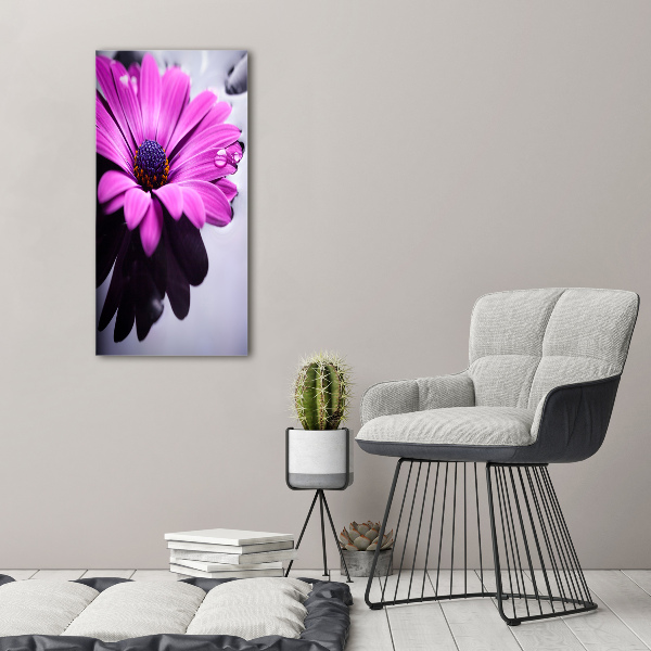 Canvas wall art Pink gerber