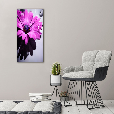 Canvas wall art Pink gerber