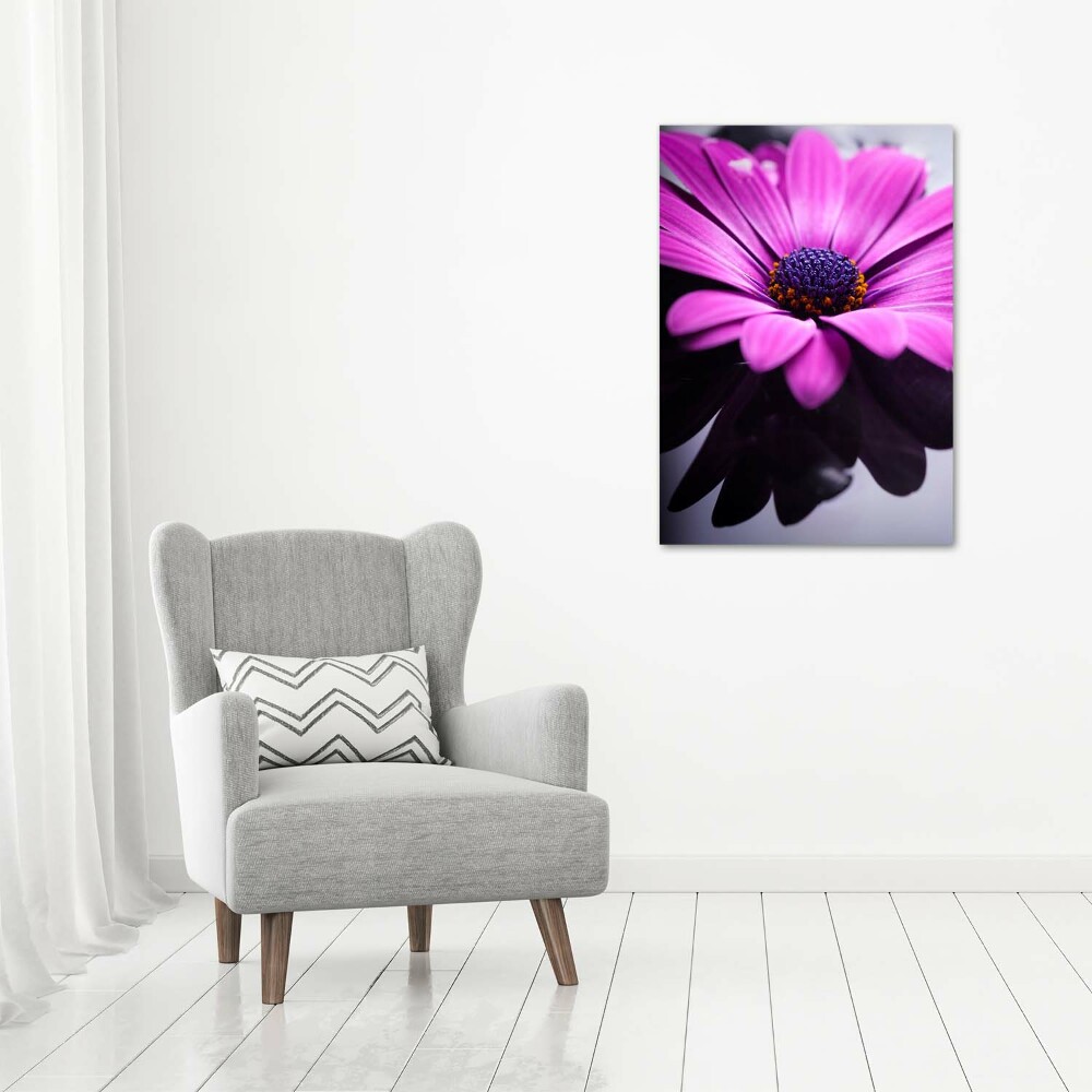 Canvas wall art Pink gerber