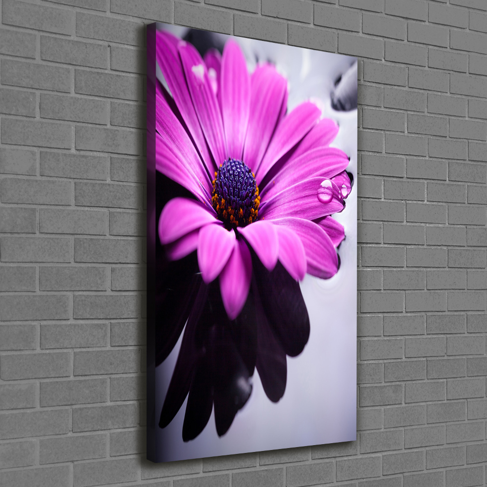 Canvas wall art Pink gerber