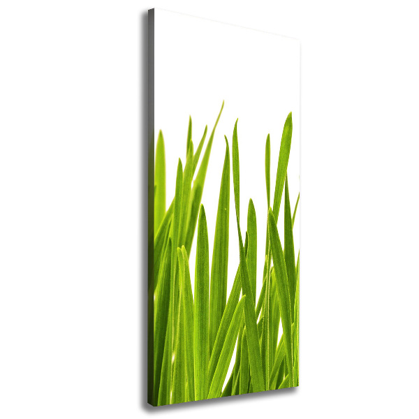 Canvas wall art green grass