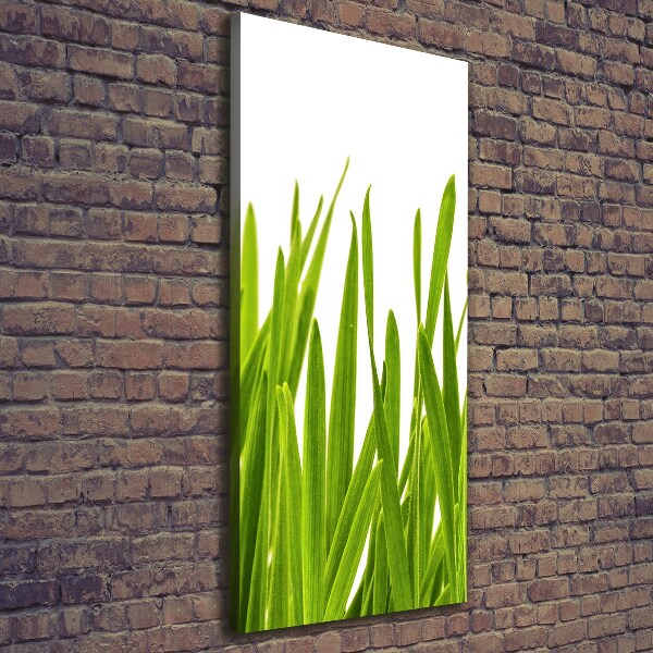 Canvas wall art green grass