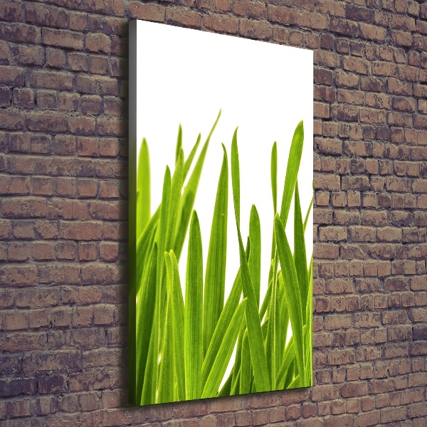 Canvas wall art green grass