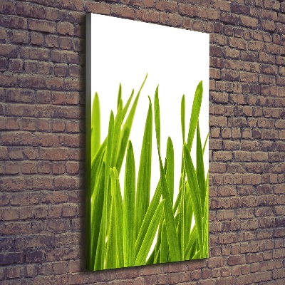 Canvas wall art green grass