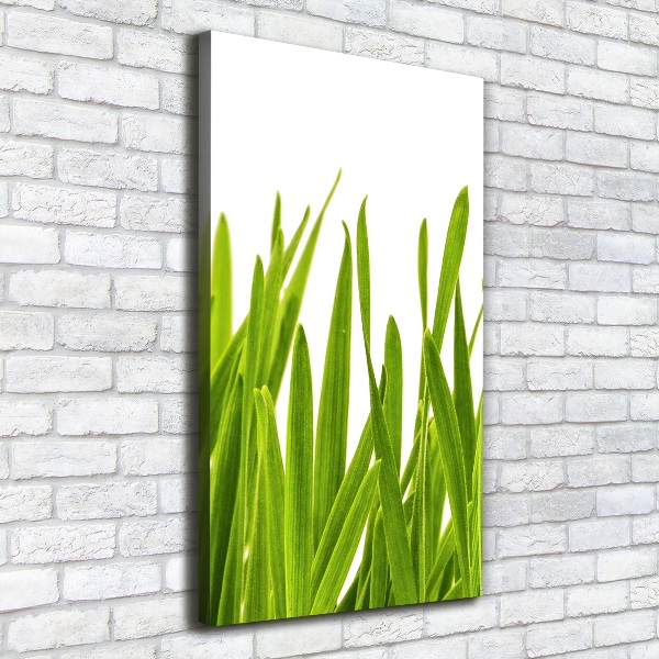 Canvas wall art green grass