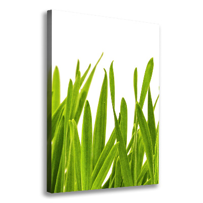 Canvas wall art green grass