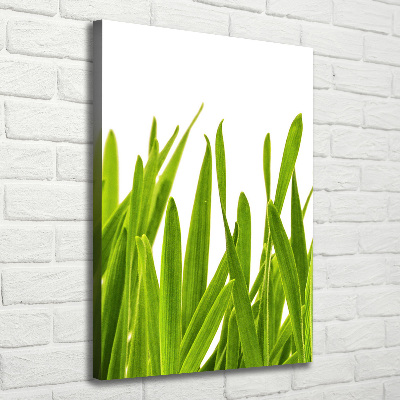 Canvas wall art green grass