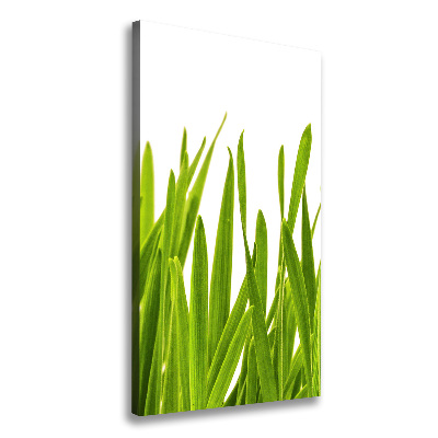 Canvas wall art green grass