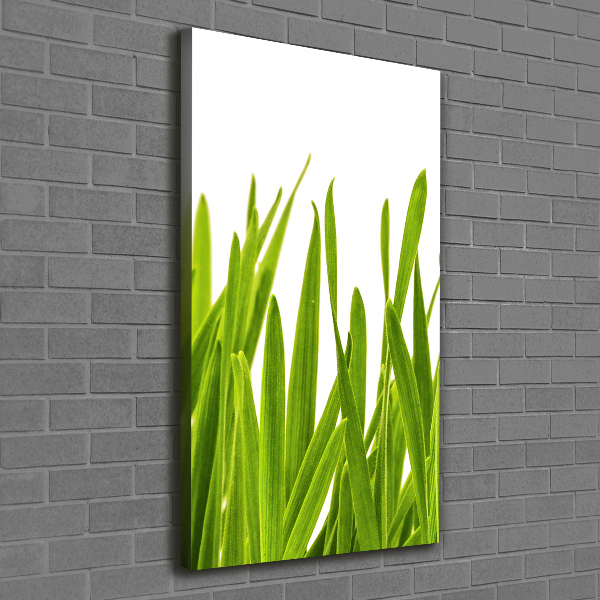 Canvas wall art green grass