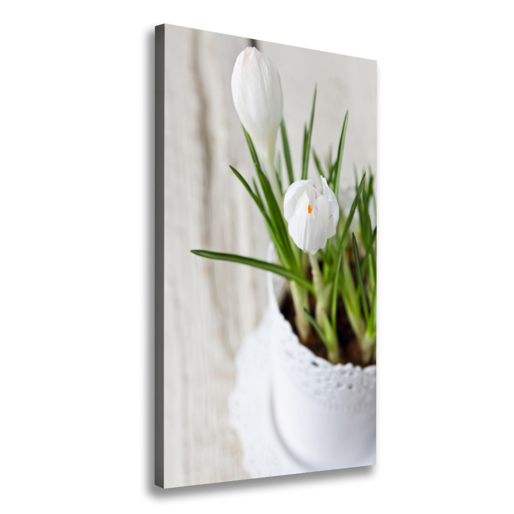 Canvas wall art White crocuses