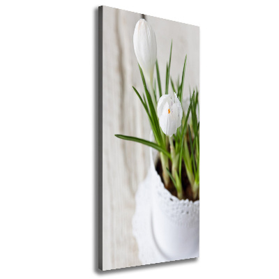 Canvas wall art White crocuses