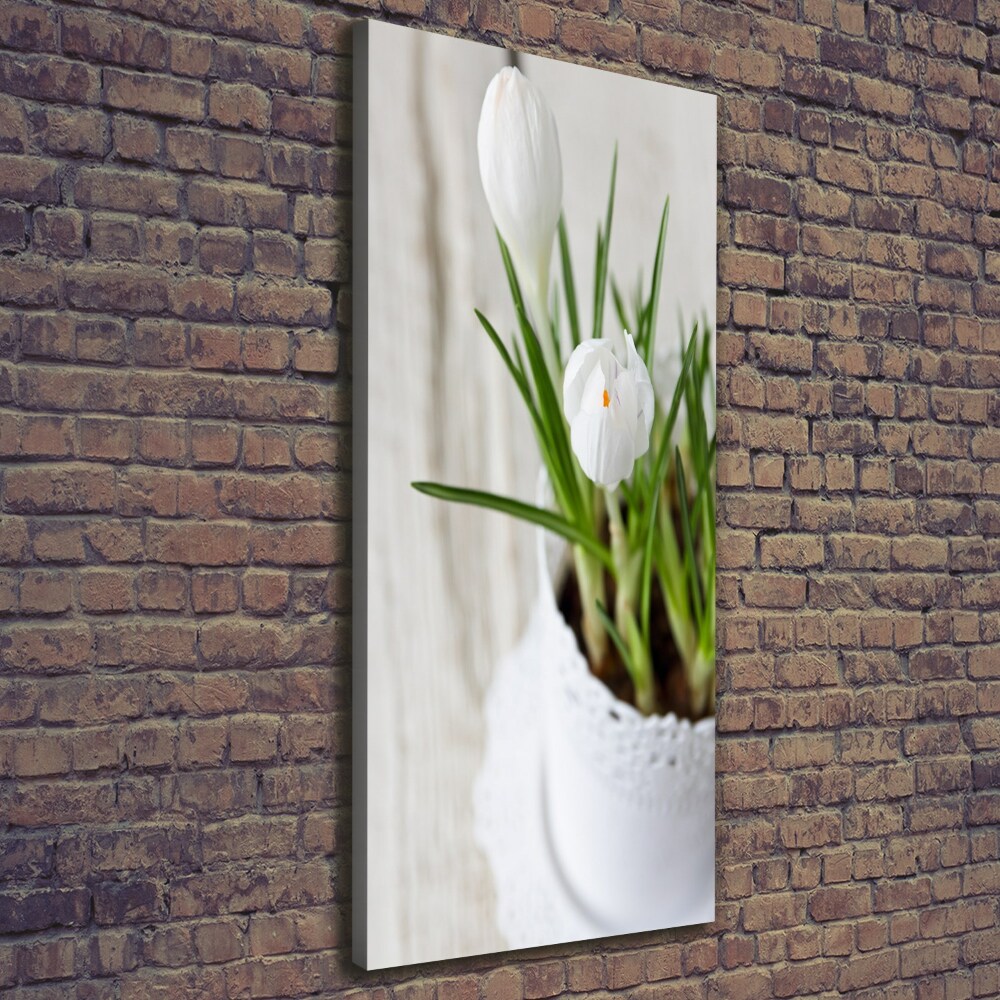 Canvas wall art White crocuses