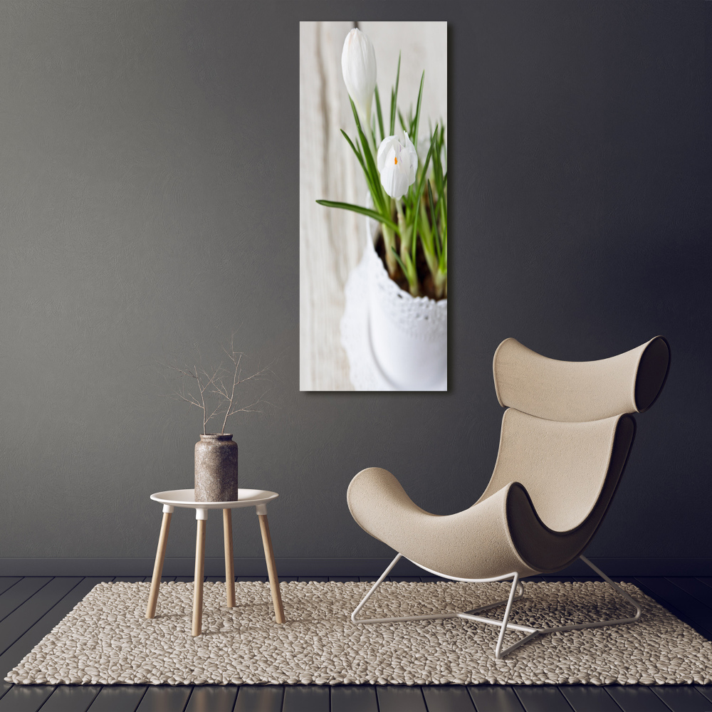 Canvas wall art White crocuses