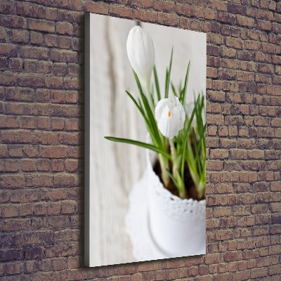 Canvas wall art White crocuses