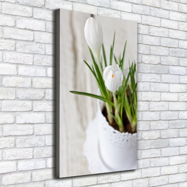 Canvas wall art White crocuses