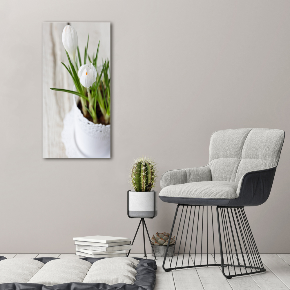 Canvas wall art White crocuses