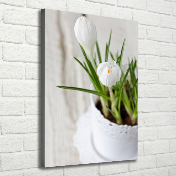 Canvas wall art White crocuses