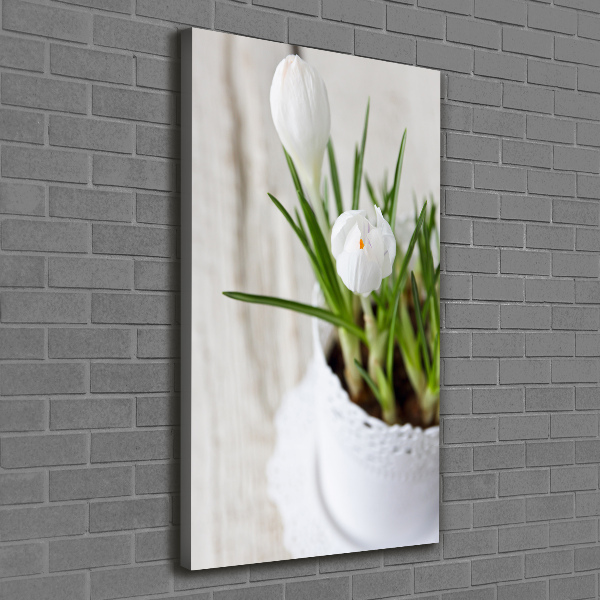 Canvas wall art White crocuses