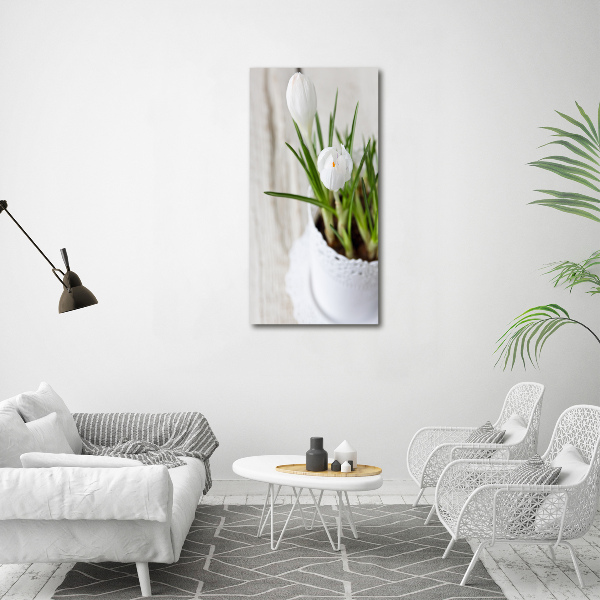 Canvas wall art White crocuses