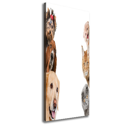 Large canvas wall art Dogs and cats