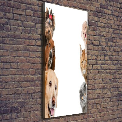 Large canvas wall art Dogs and cats