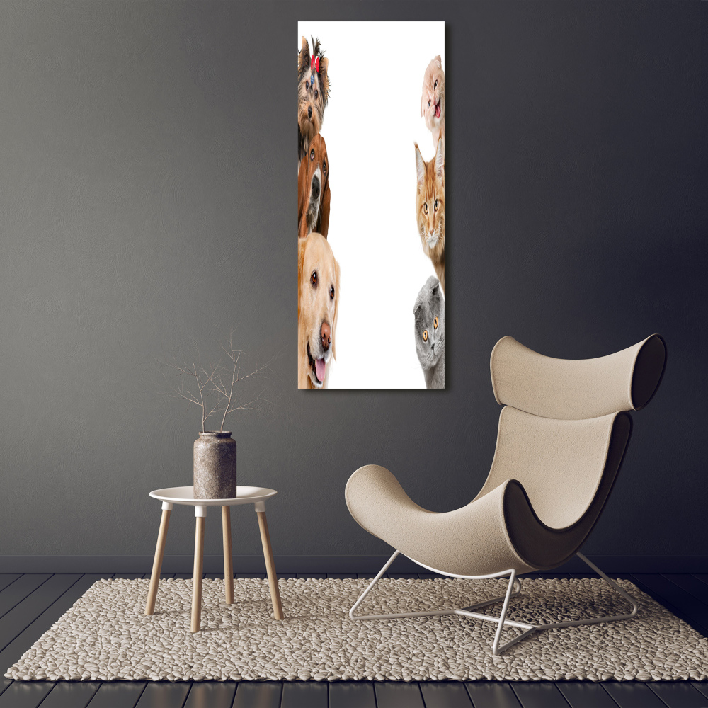 Large canvas wall art Dogs and cats