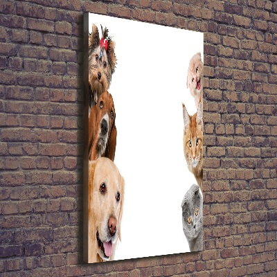 Large canvas wall art Dogs and cats