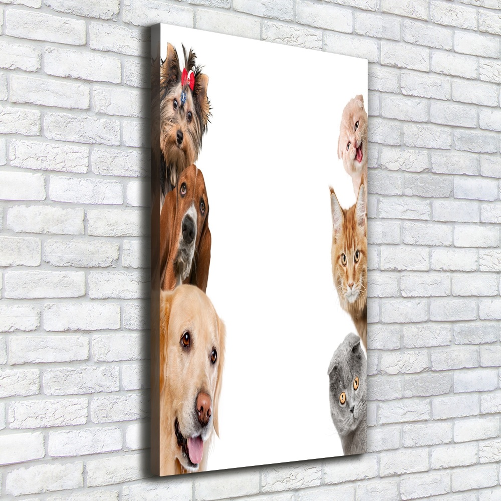 Large canvas wall art Dogs and cats