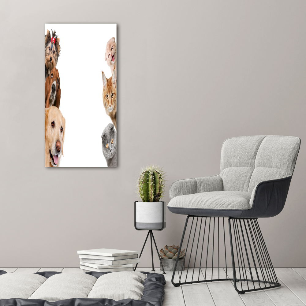 Large canvas wall art Dogs and cats